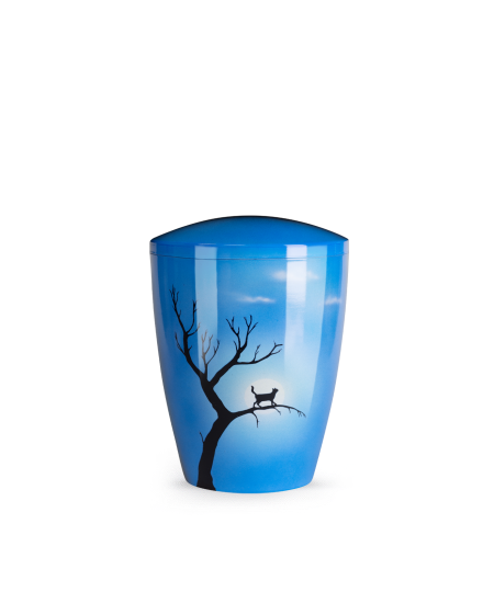 Katze blau