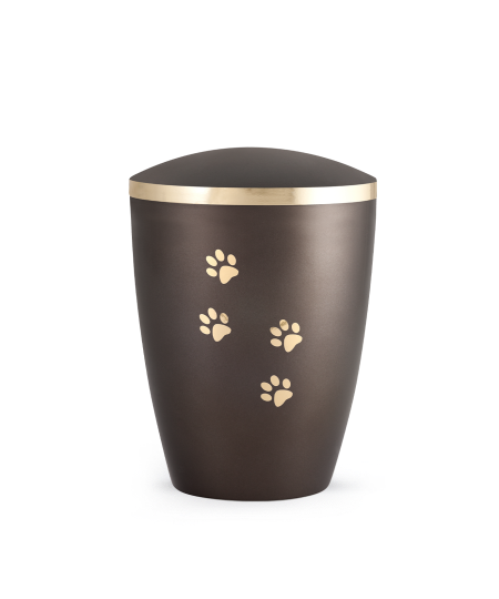 Edition Elegance Chocolat