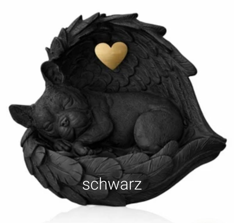 Französische Bulldogge schwarz
