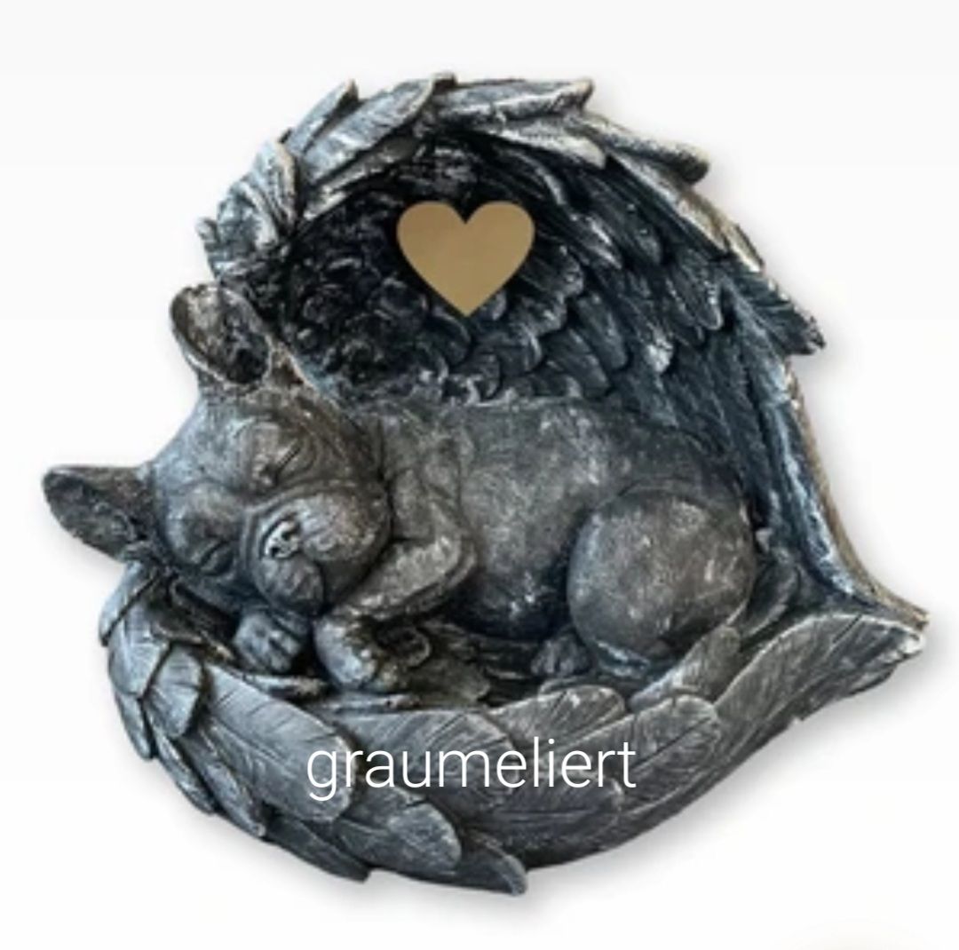 Französische Bulldogge graumeliert Französische Bulldogge graumeliert