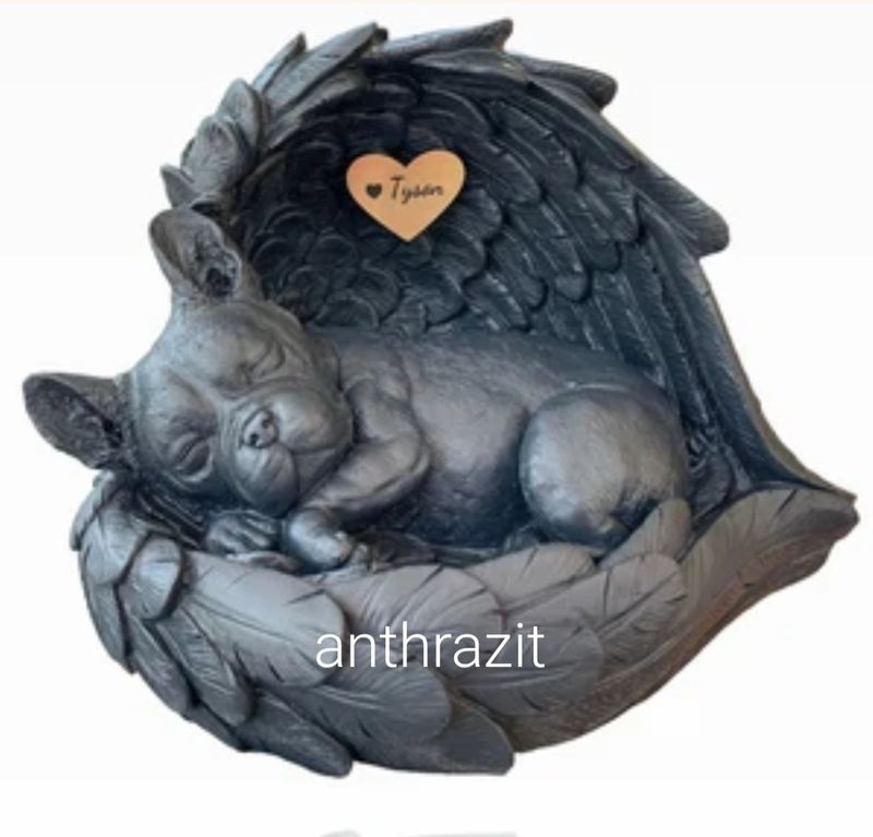 Französische Bulldogge anthrazit