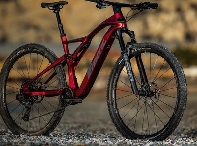 Light-e-MTB