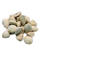 Indiannuts