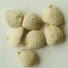 Indian nuts