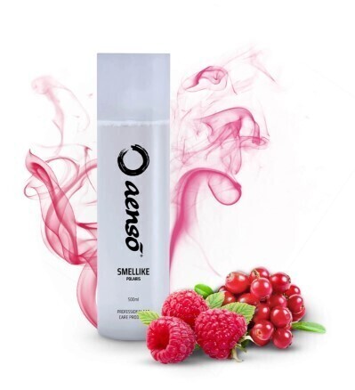 Aensō SMELLIKE Ambientador ORBIT 500ml