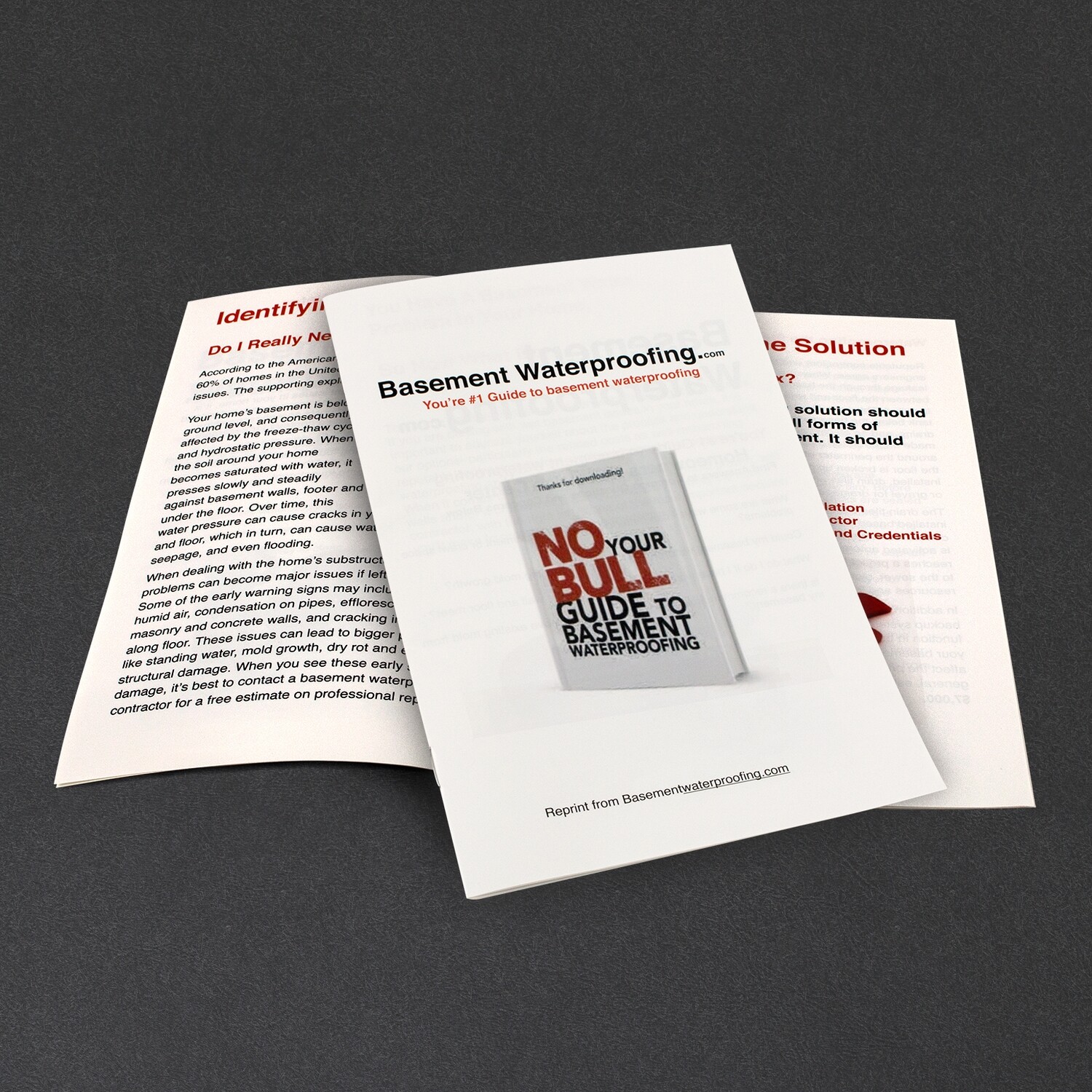 No Bull Books (100)