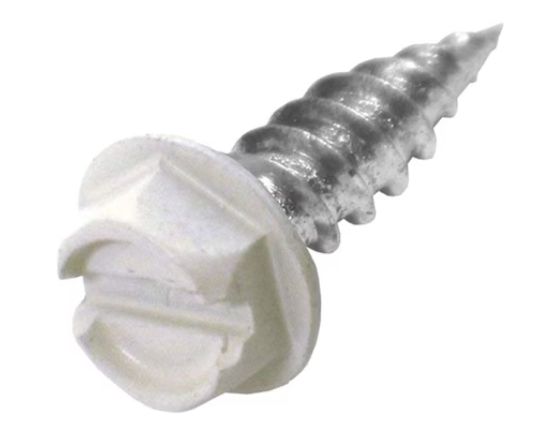 DOWNSPOUT SCREWS (100 PACK)
