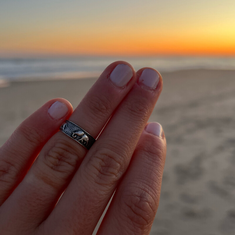 Anillo Midi Elefantes