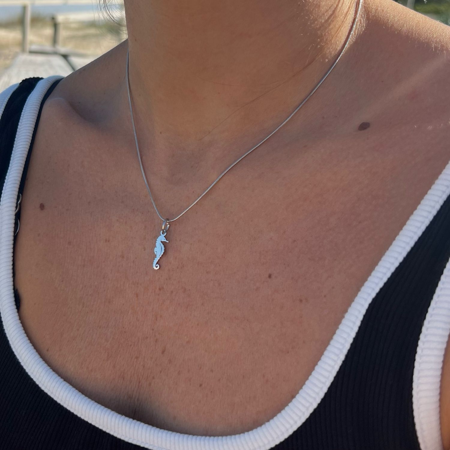 Cadena Hipocampo