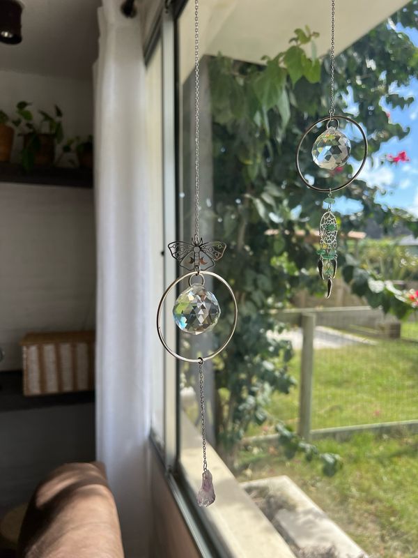 Atrapasol Transmutar 🦋