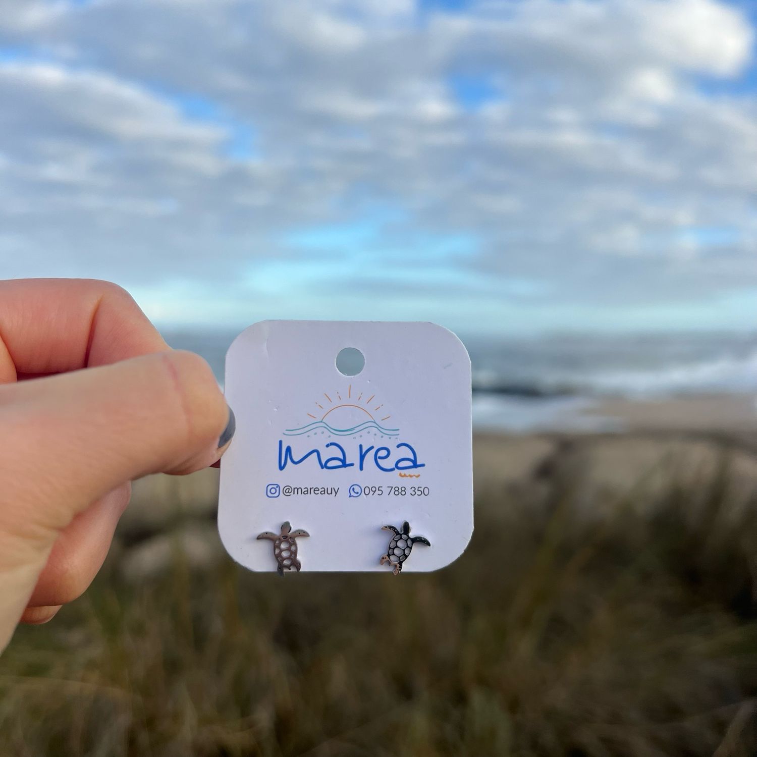 Miniaturas Tortugas