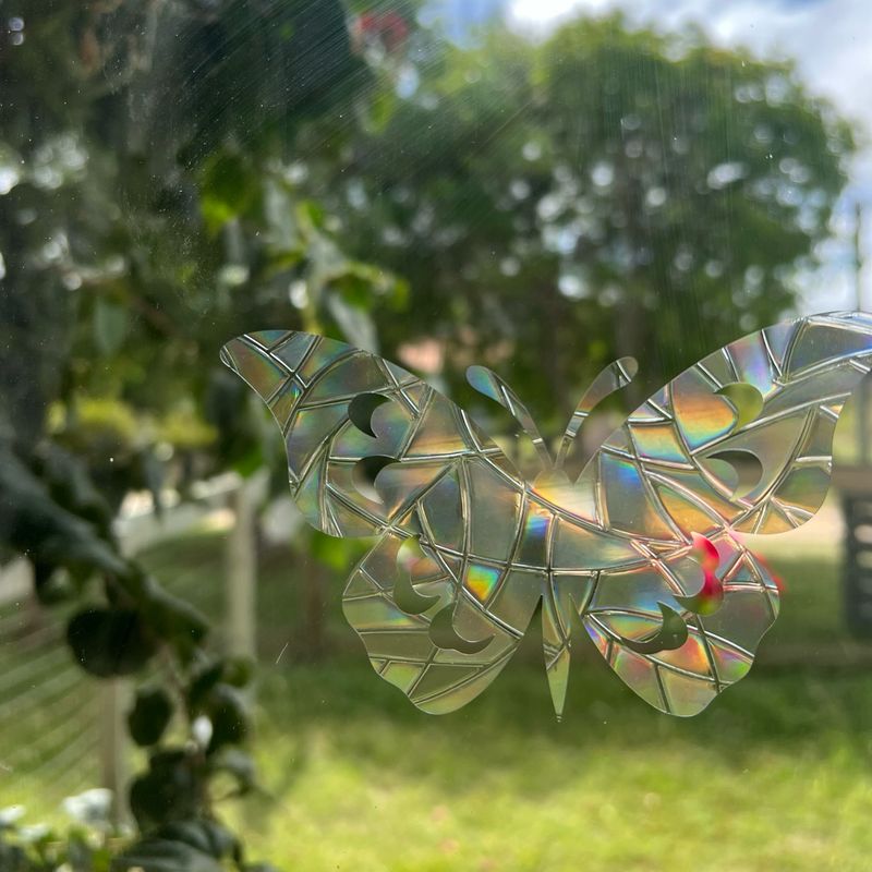 Vinilo Arcoíris Mariposa