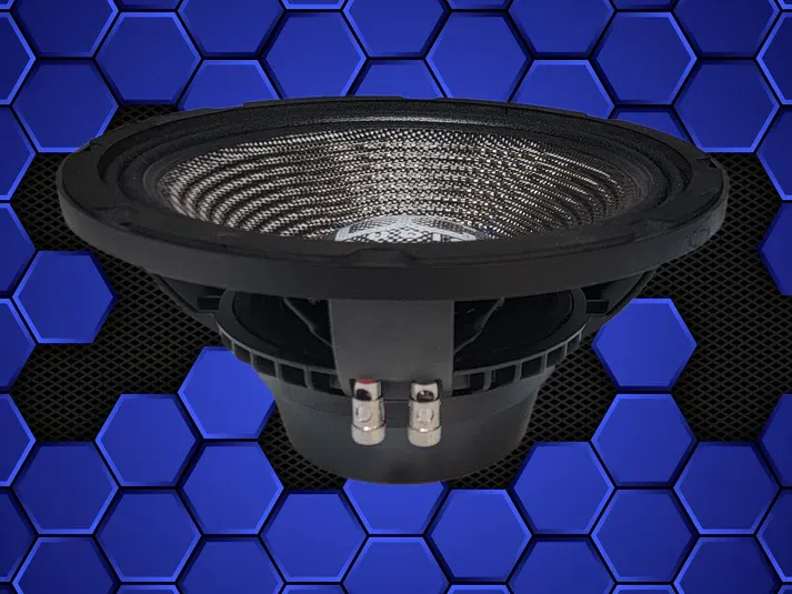 DC Audio NEO CF 10" Full Range Pro Audio  perstuk