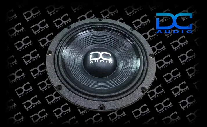 DC Audio Destroyer 10" LF Pro Audio Speaker  perstuk