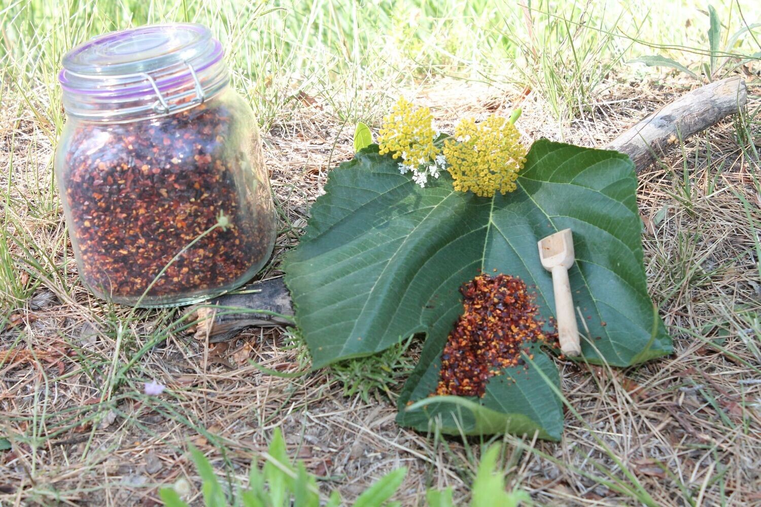 Piment Niora