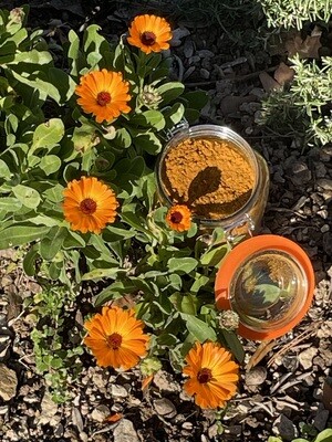 Epices Tajine