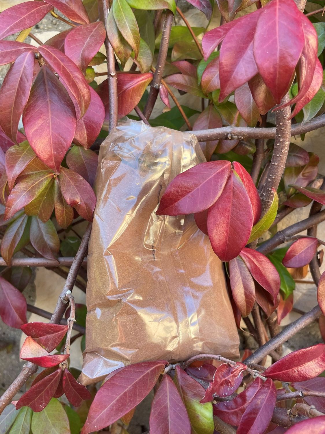 Mélange Chocolat Chaud Cannelle