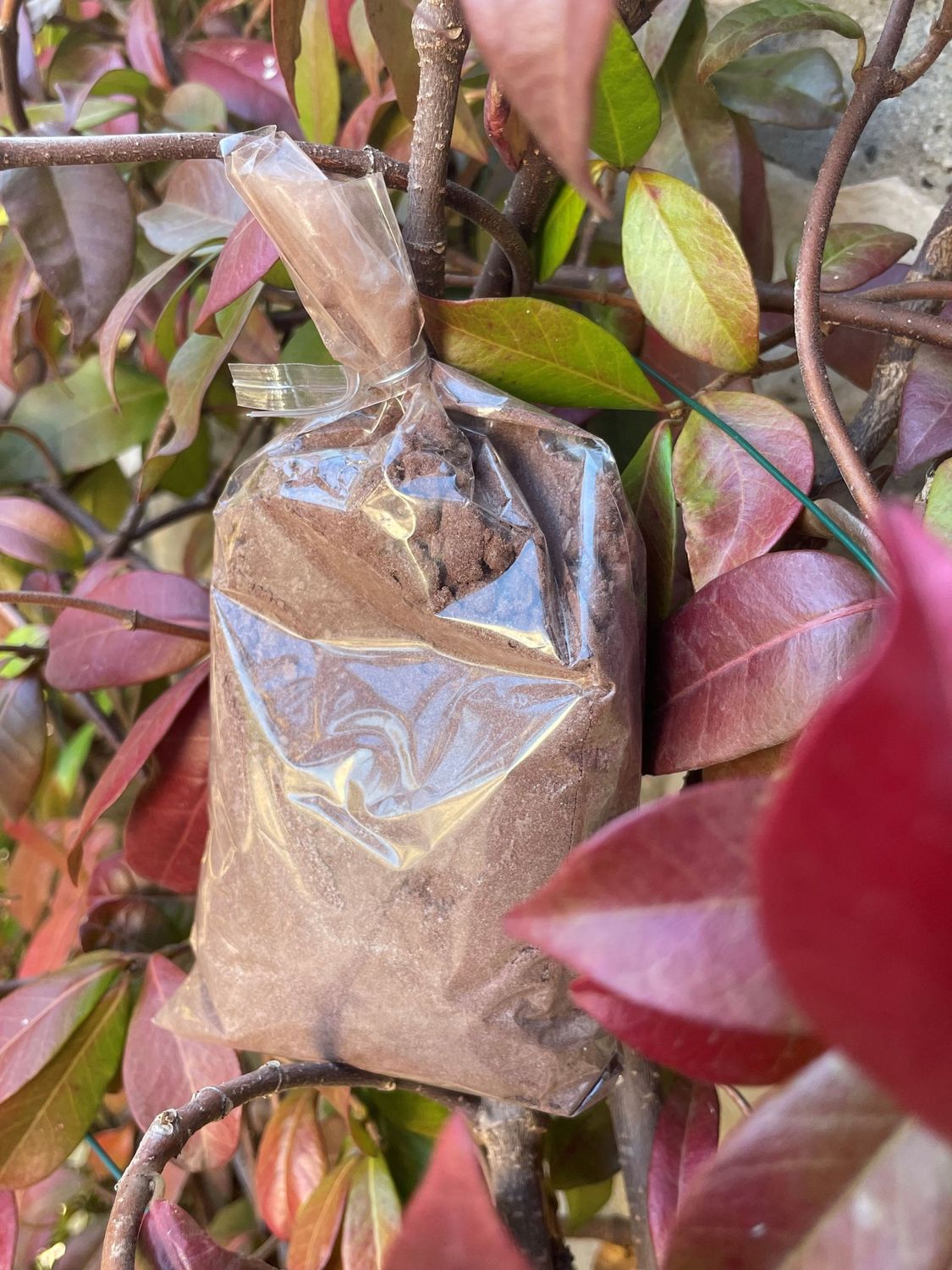 Mélange Chocolat chaud Speculoos