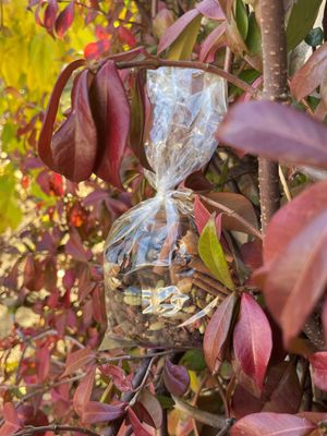 Mélange pour vin chaud pomme-cannelle