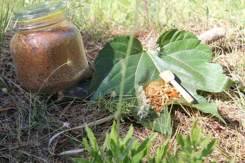 Spécial Grillades Spécial Grillades