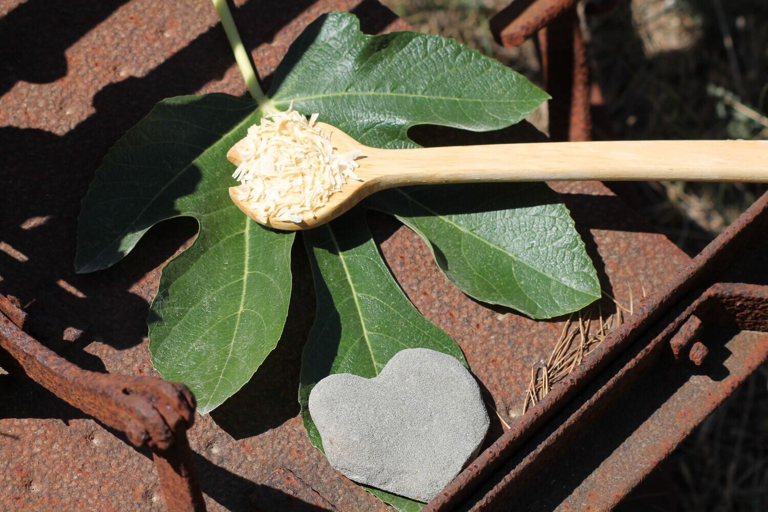 Oignons en lanières Oignons en lanières