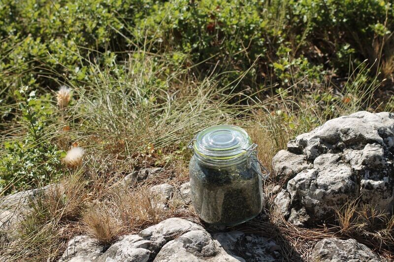 Ciboulette Ciboulette