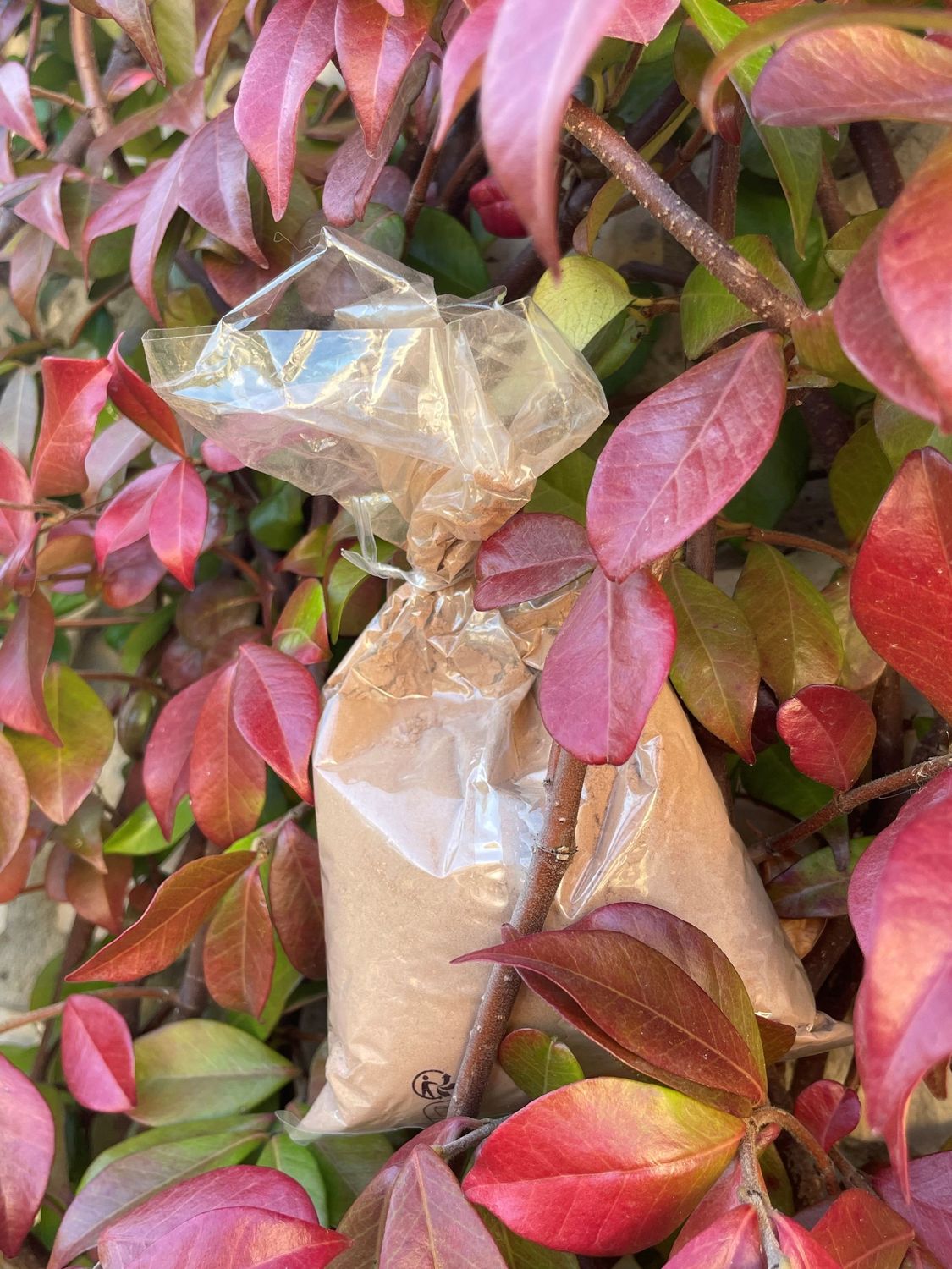 Chocolat chaud traditionnel Chocolat chaud traditionnel