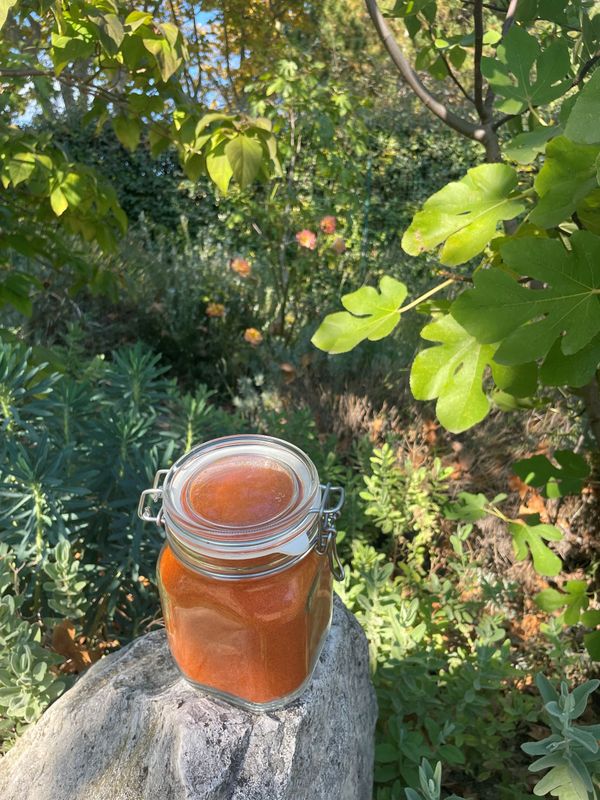 Harissa Harissa