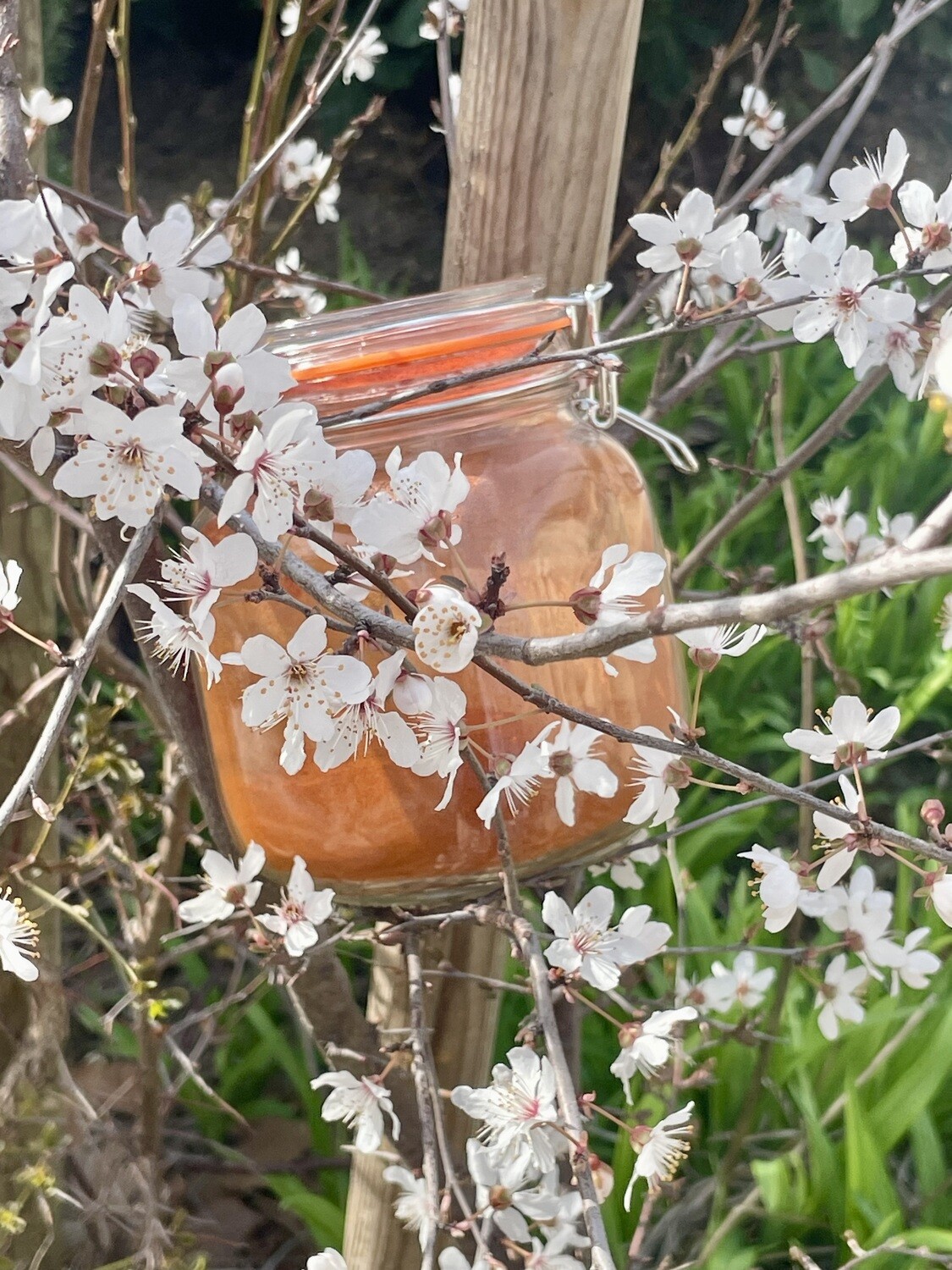Mélange Paëlla Mélange Paëlla