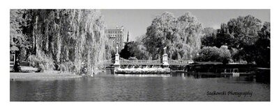 Boston Swan Boats Public Gardens