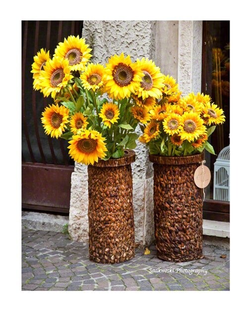 Duex Tournesol Tuscany Italia