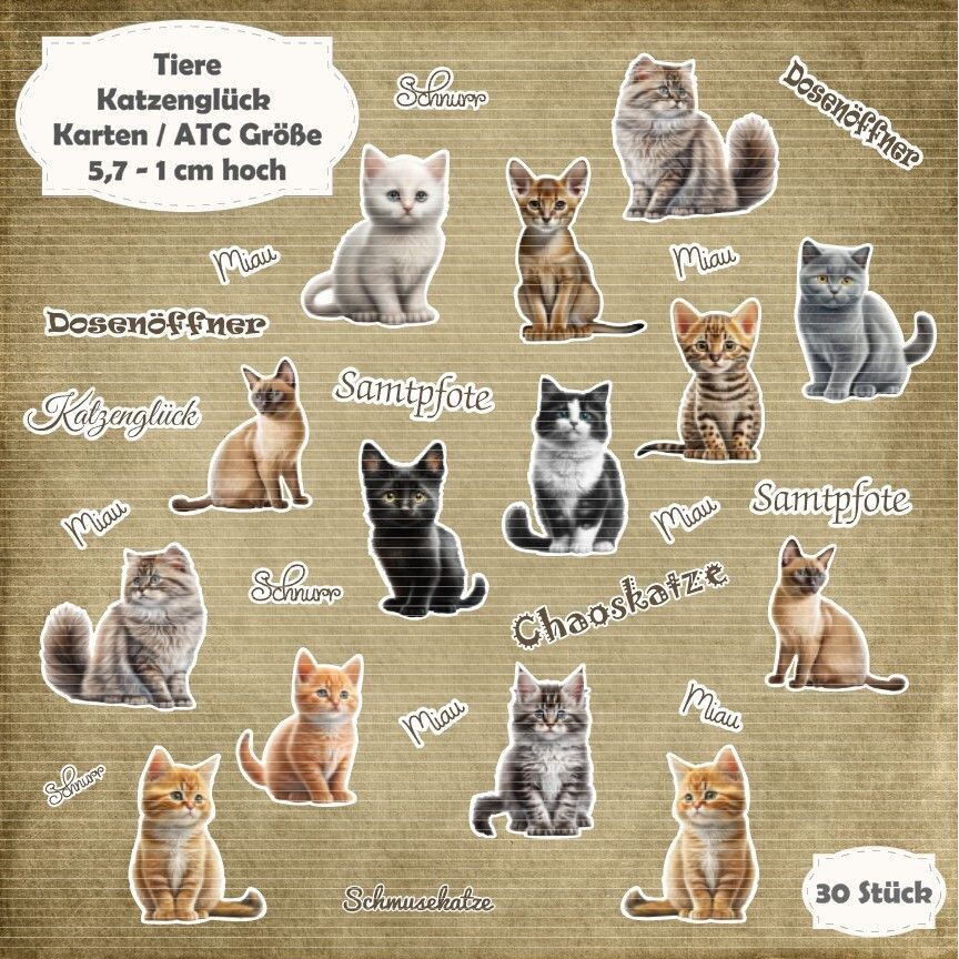 Katzenglück auf Papier: Ausmalbilder, die Freude bringen!