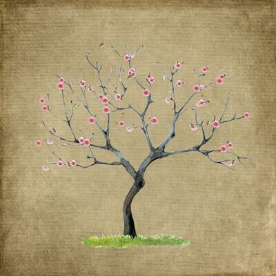 Frühling