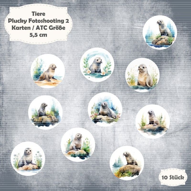Plucky - Fotoshooting 2 - Karten / ATC Größe - 10 Stanzteile - Die Cuts Plucky - Fotoshooting 2 - Karten / ATC Größe - 10 Stanzteile - Die Cuts