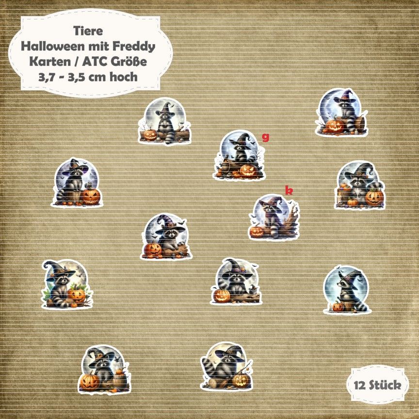 Halloween mit Freddy - Waschbär - Karten / ATC Größe - 12 Stanzteile - Die Cut