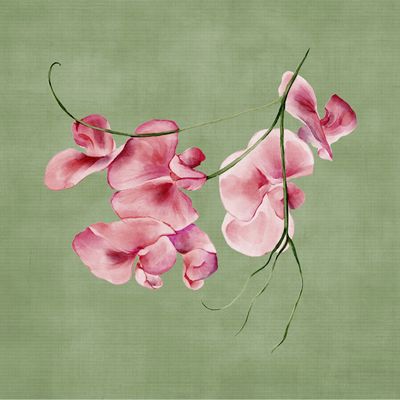 Blumen