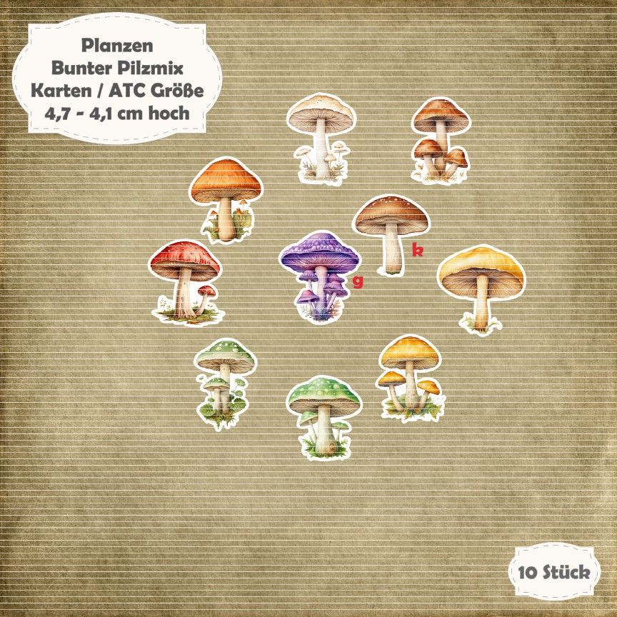 Bunter Pilzmix - Karten / ATC Größe - 10 Stanzteile - Die Cuts