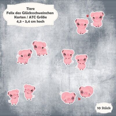 Felix das Glücksschweinchen - 300g - Karten / ATC Größe - 10 Teile - Die Cuts*