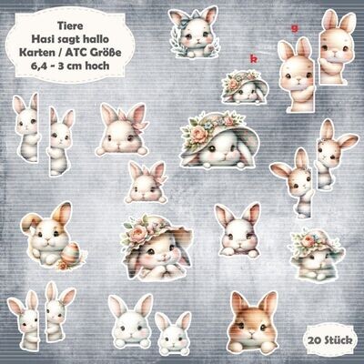 Hasi sagt Hallo - 300g - Karten / ATC Größe - 20 Stanzteile - Die Cut