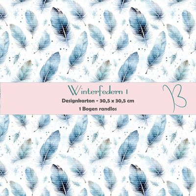 Winterfedern 1 - Designkarton - 30,5 x 30,5 cm - randlos - 1 Bogen Winterfedern 1 - Designkarton - 30,5 x 30,5 cm - randlos - 1 Bogen