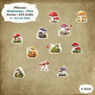 Waldzauber - Pilze - 300g - Karten / ATC Größe - 11 Stanzteile - Die Cuts