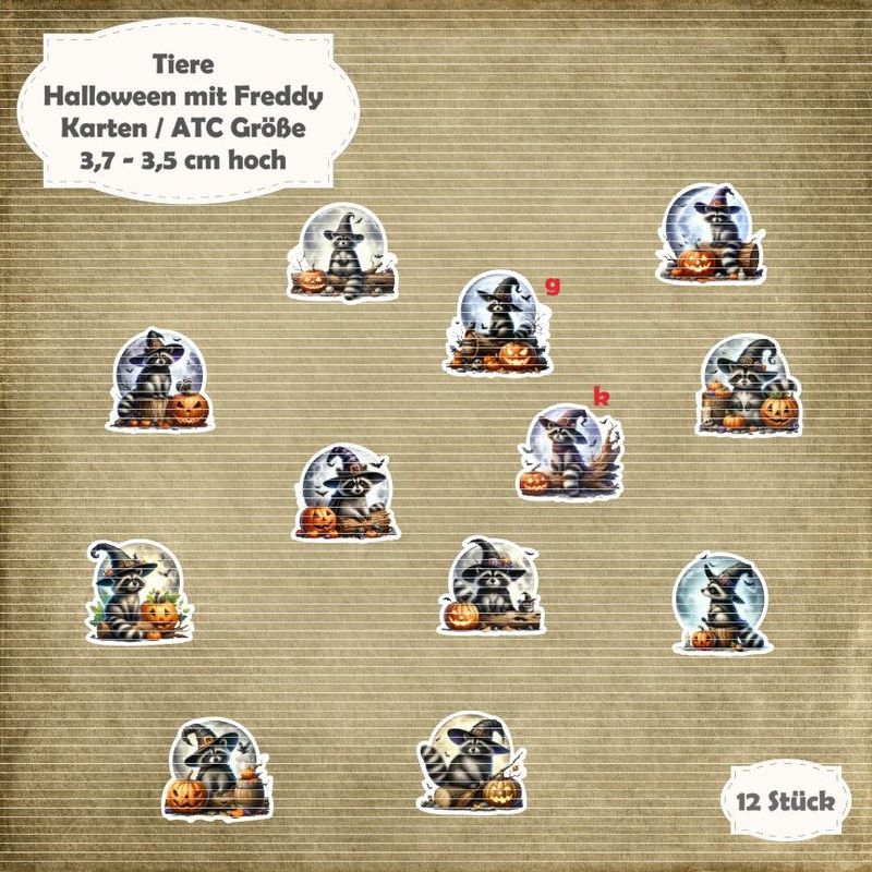 Halloween mit Freddy - Waschbär - 300g - Karten / ATC Größe - 12 Stanzteile - Die Cut*