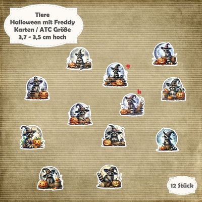 Halloween mit Freddy - Waschbär - 300g - Karten / ATC Größe - 12 Stanzteile - Die Cut*
