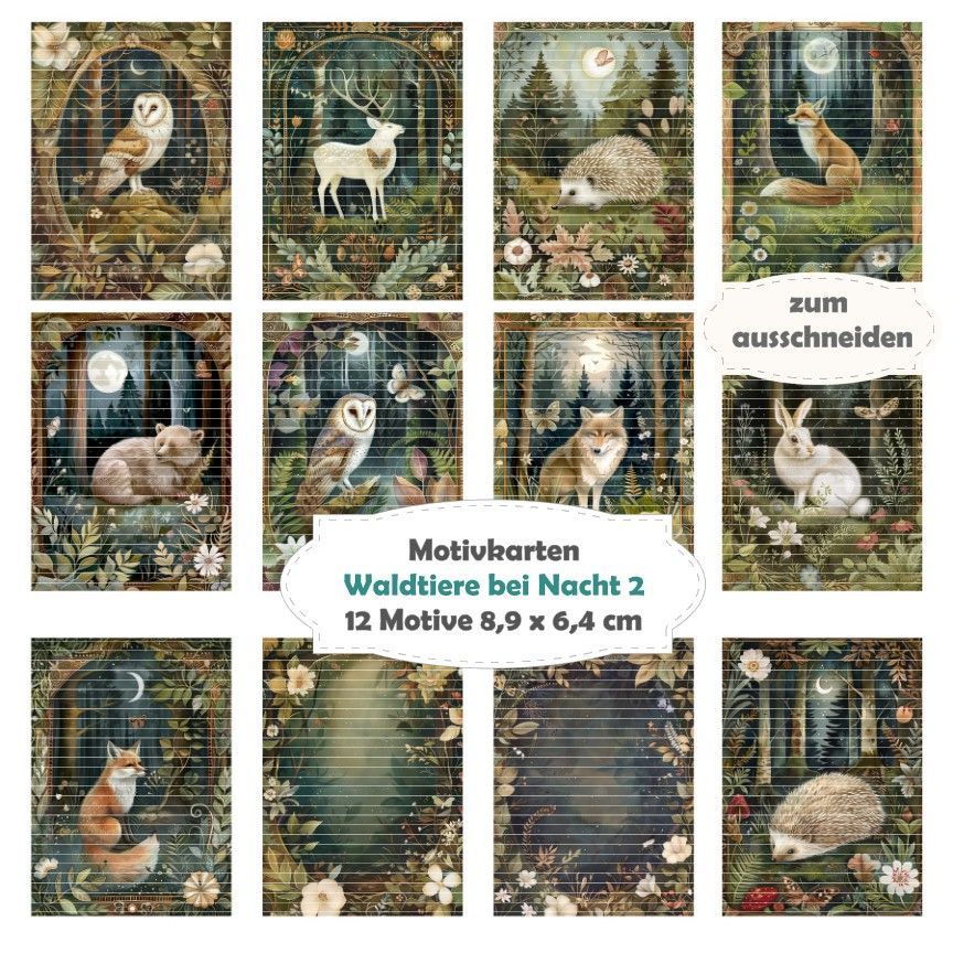 Waldtiere bei Nacht 2 - Motivkarten - 12 Inch - mit 12 Motiven