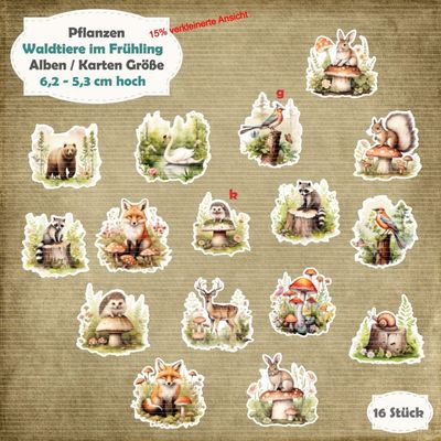 Waldtiere im Frühling - 210g - Album / Karte Größe - 16 Teile - Die Cuts
