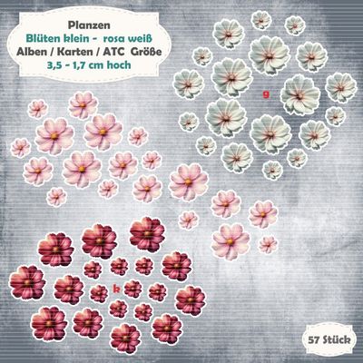 Blüten rosa / weiß - Alben / Karten / ATC Größe - 57 Stanzteile - Die Cuts