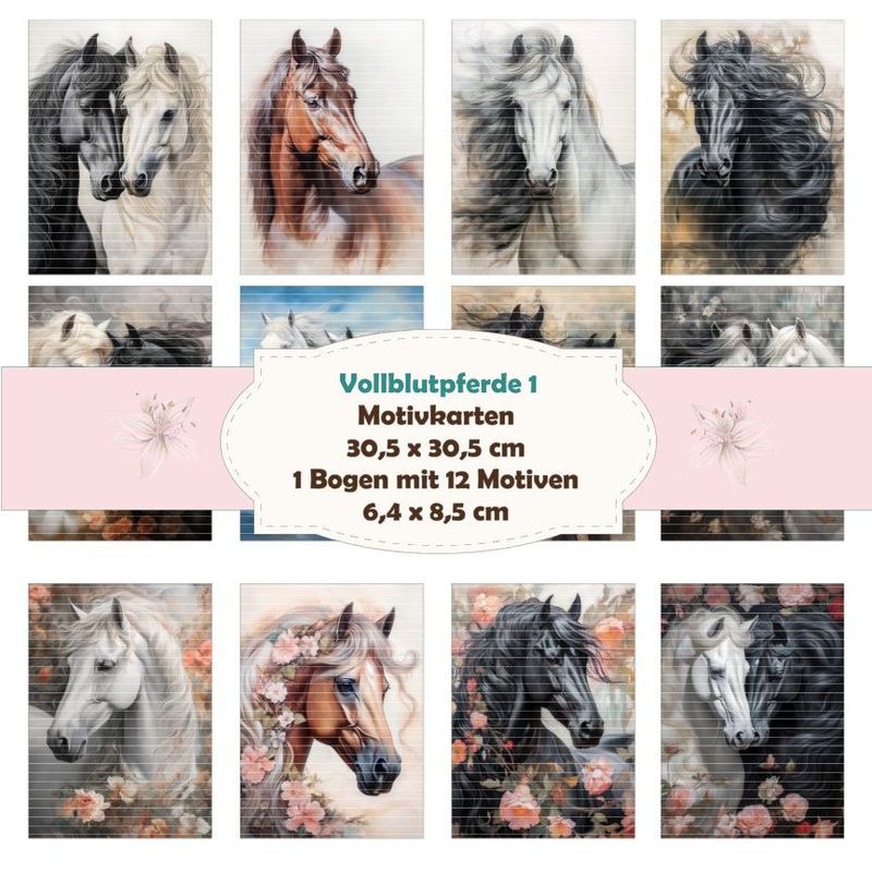 Vollblutpferde 1 - Motivkarten - 12 Inch - mit 12 Motiven Vollblutpferde 1 - Motivkarten - 12 Inch - mit 12 Motiven