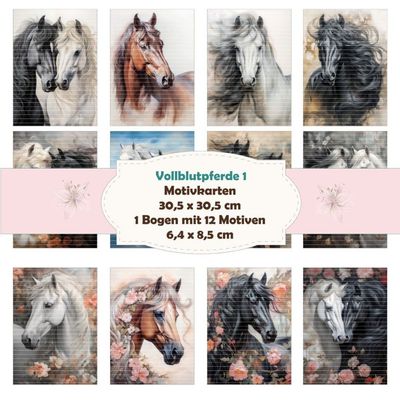 Vollblutpferde 1 - Motivkarten - 12 Inch - mit 12 Motiven* Vollblutpferde 1 - Motivkarten - 12 Inch - mit 12 Motiven*