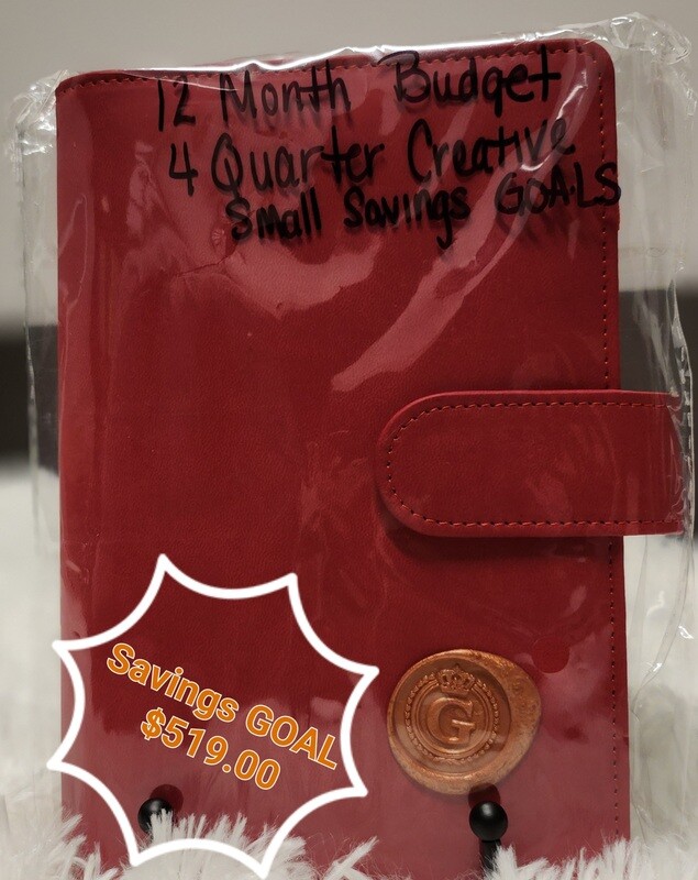 1 Year budget book with Savings Goal totaling $519.00