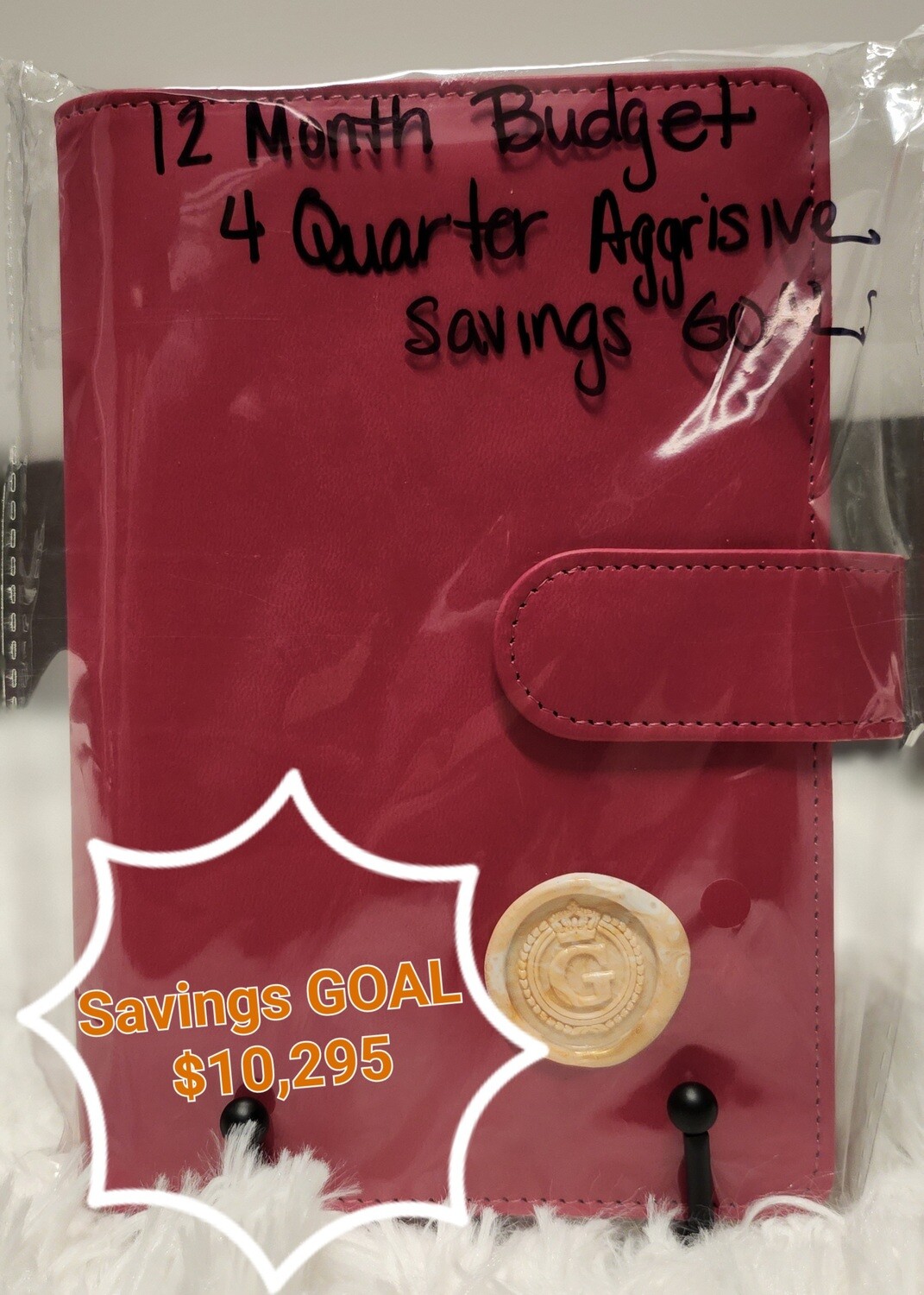 1 Year Budget book with Savings Goal totaling $10295.00